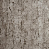 Clarke & Clarke TREE BARK PEWTER Wallpaper