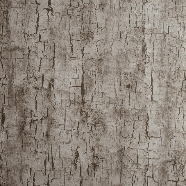 Clarke & Clarke TREE BARK PEWTER Wallpaper