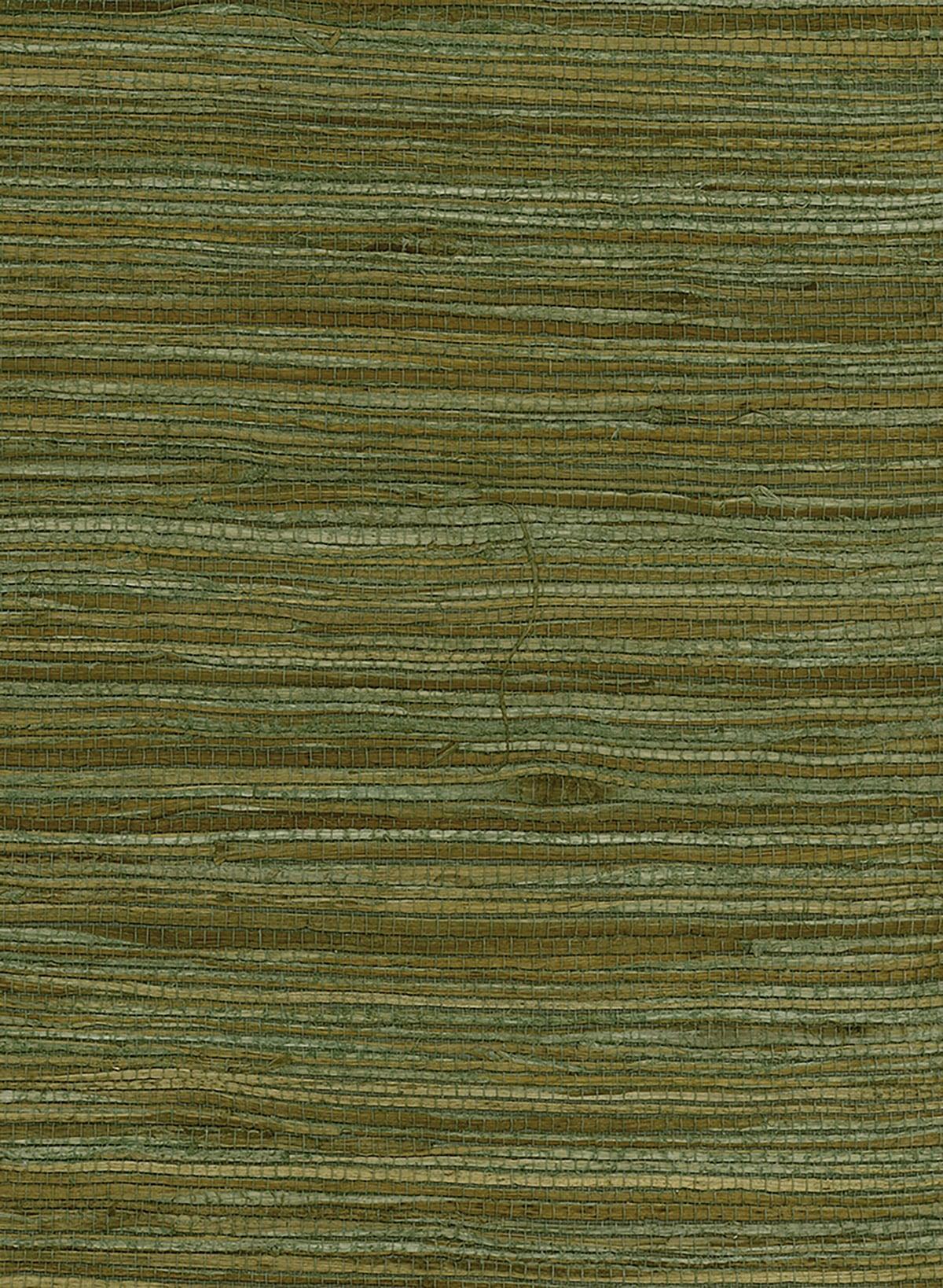 Seabrook Water Hyancinth Green, Tan Wallpaper