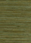 Seabrook Water Hyancinth Green, Tan Wallpaper