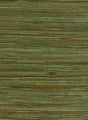 Seabrook Water Hyancinth Green, Tan Wallpaper