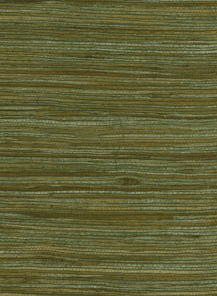 Seabrook Water Hyancinth Green, Tan Wallpaper