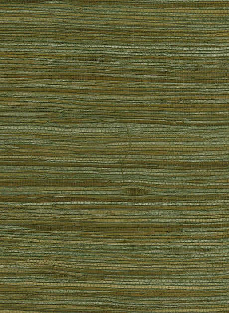 Seabrook Water Hyancinth Green Wallpaper