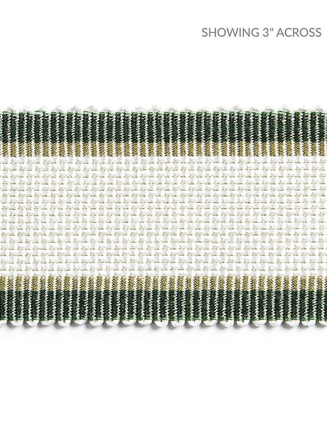 Scalamandre Odeon Shimmer Braid Ivy Trim