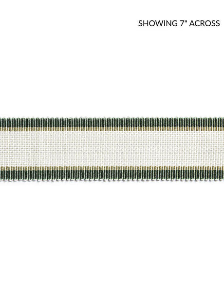 Scalamandre Odeon Shimmer Braid Ivy Trim