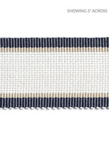 Scalamandre Odeon Shimmer Braid Lake Trim