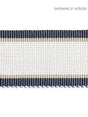 Scalamandre Odeon Shimmer Braid Lake Trim