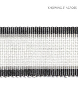 Scalamandre Odeon Shimmer Braid Mercury Trim