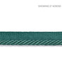 Scalamandre Boulevard Cord Emerald Isle Trim