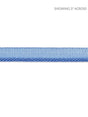 Scalamandre Avenue Cord Delphinium Trim