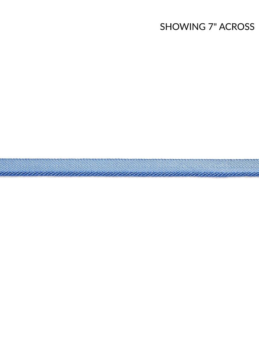 Scalamandre Avenue Cord Delphinium Trim