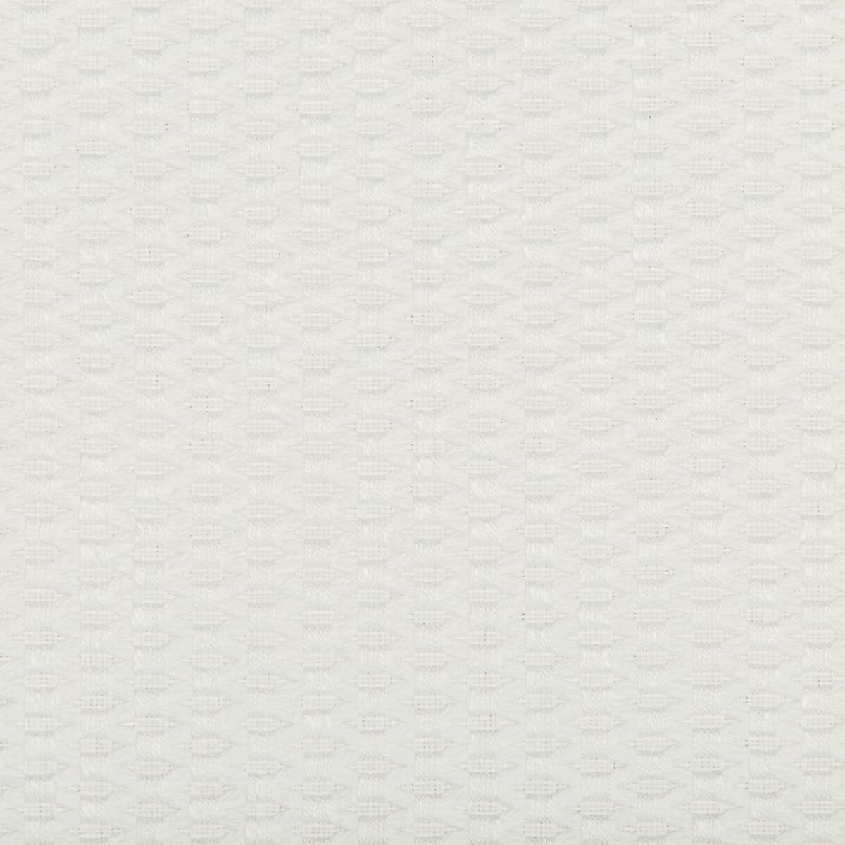 Kravet 35583 101 Fabric