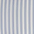 Clarke & Clarke PARTY STRIPE STRIPE CHAMBRAY Fabric