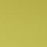 Clarke & Clarke SPECTRUM CHARTREUSE Fabric