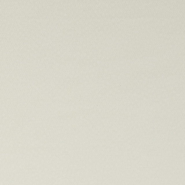 Clarke & Clarke SPECTRUM IVORY Fabric