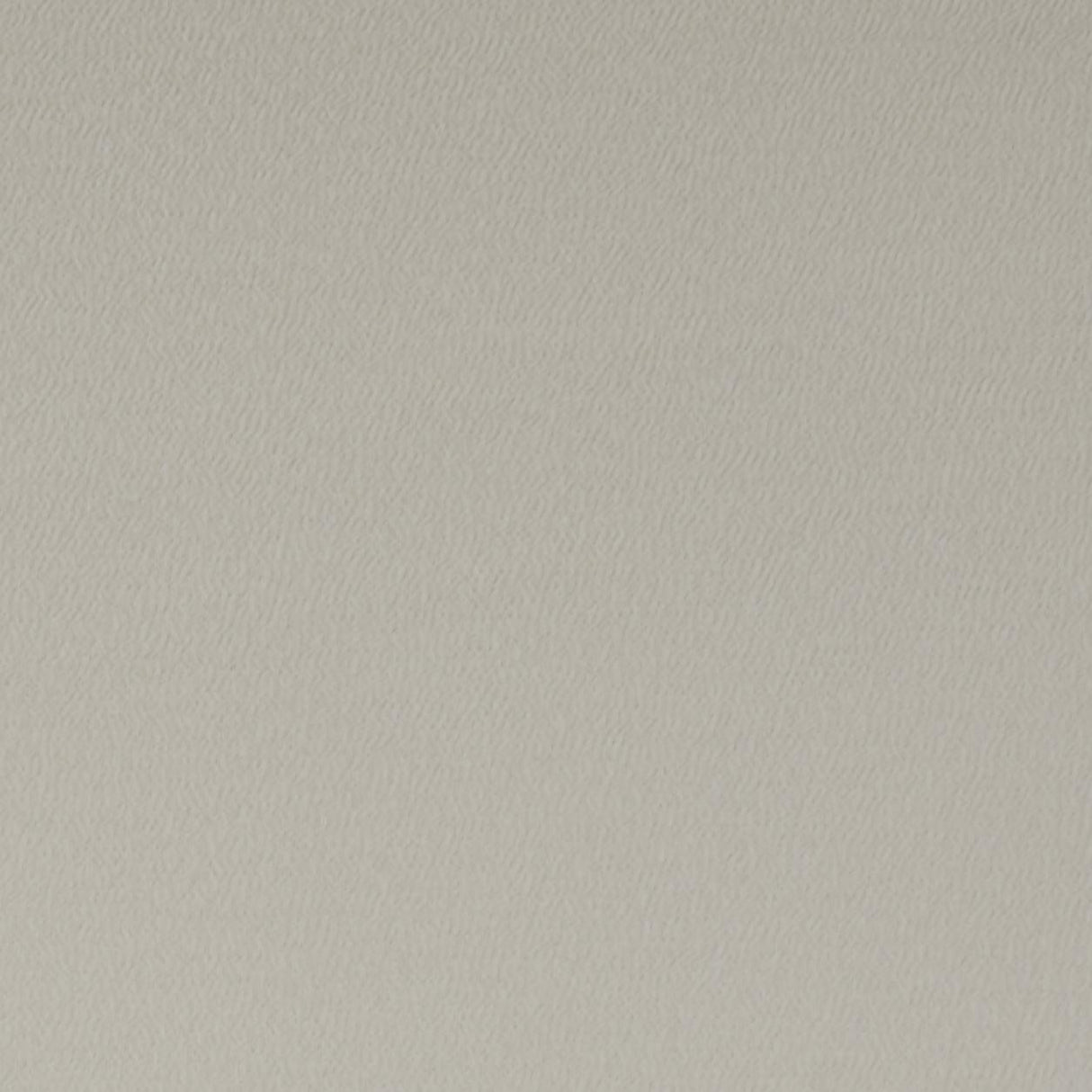 Clarke & Clarke SPECTRUM MUSHROOM Fabric