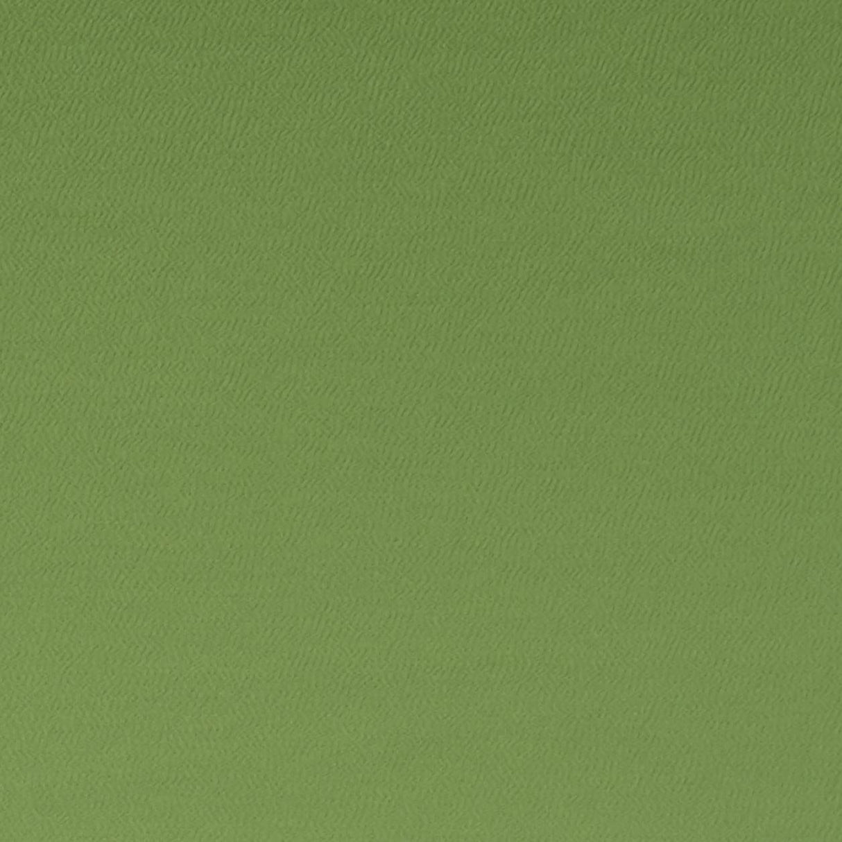 Clarke & Clarke SPECTRUM OREGANO Fabric