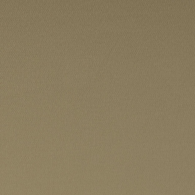 Clarke & Clarke SPECTRUM PECAN Fabric