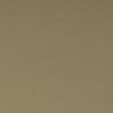 Clarke & Clarke SPECTRUM PECAN Fabric