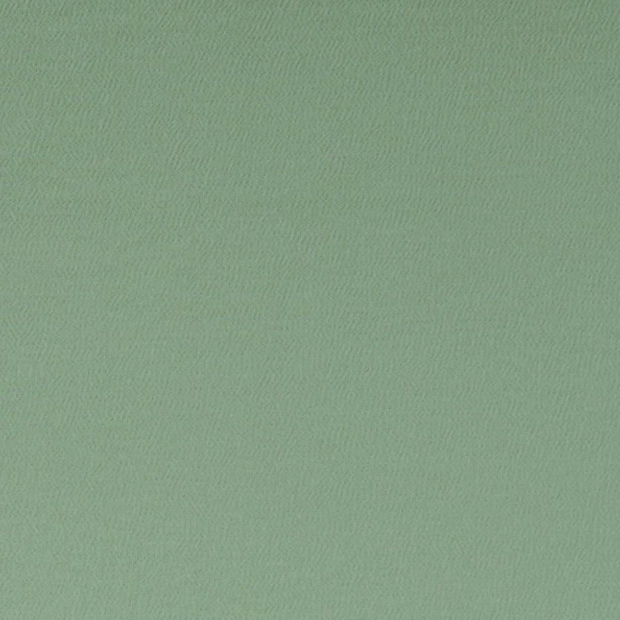 Clarke & Clarke SPECTRUM THYME Fabric