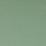 Clarke & Clarke SPECTRUM THYME Fabric