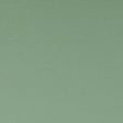 Clarke & Clarke SPECTRUM THYME Fabric
