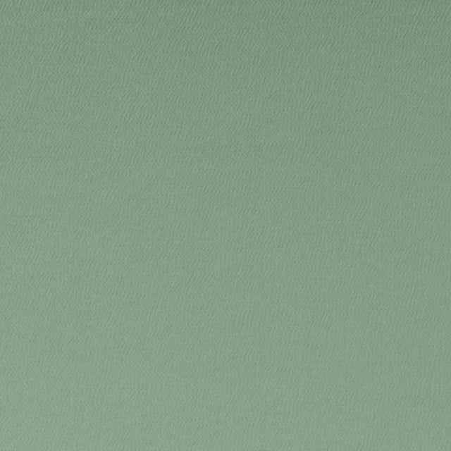 Clarke & Clarke SPECTRUM THYME Fabric