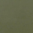 Clarke & Clarke LUCCA HERB Fabric