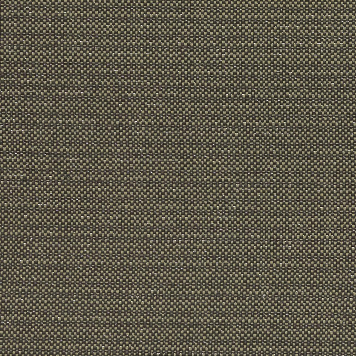 Clarke & Clarke KAUAI CHARCOAL Fabric