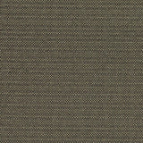 Clarke & Clarke KAUAI CHARCOAL Fabric