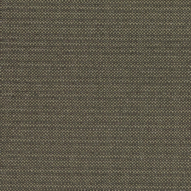 Clarke & Clarke KAUAI CHARCOAL Fabric