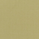 Clarke & Clarke KAUAI CITRON Fabric