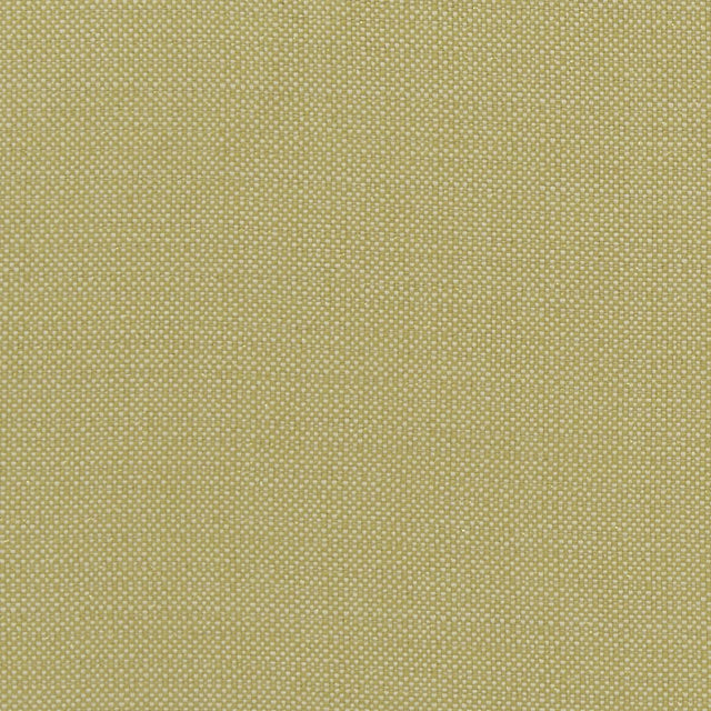 Clarke & Clarke KAUAI CITRON Fabric