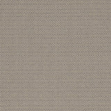 Clarke & Clarke KAUAI MOCHA Fabric