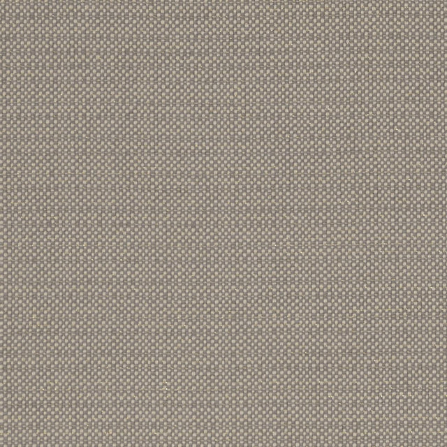 Clarke & Clarke KAUAI MOCHA Fabric