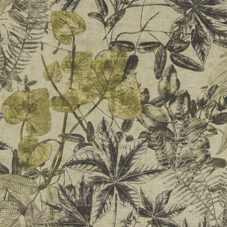 Clarke & Clarke MADAGASCAR CHARCOAL/CHARTEUSE Fabric