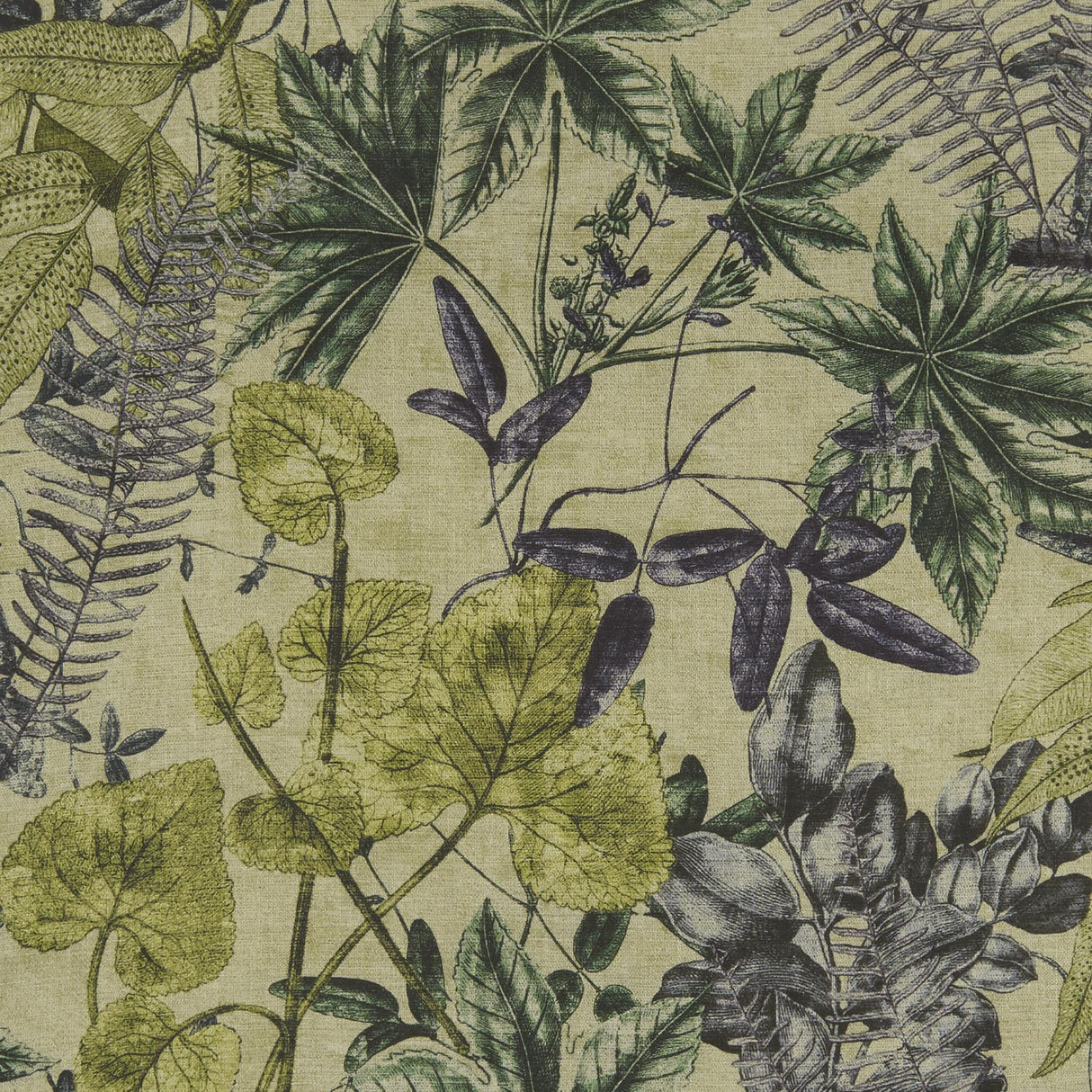 Clarke & Clarke MADAGASCAR FOREST Fabric