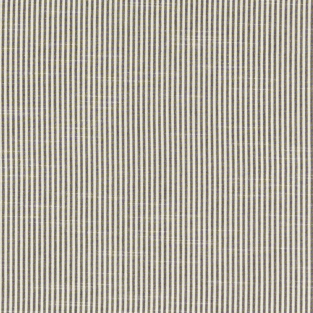 Clarke & Clarke BEMPTON CHARCOAL Fabric