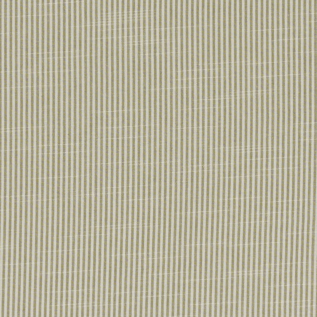 Clarke & Clarke BEMPTON NATURAL Fabric