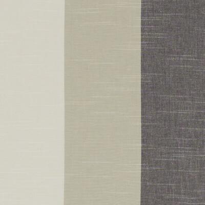 Clarke & Clarke BUCKTON CHARCOAL Fabric