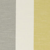 Clarke & Clarke BUCKTON OCHRE Fabric