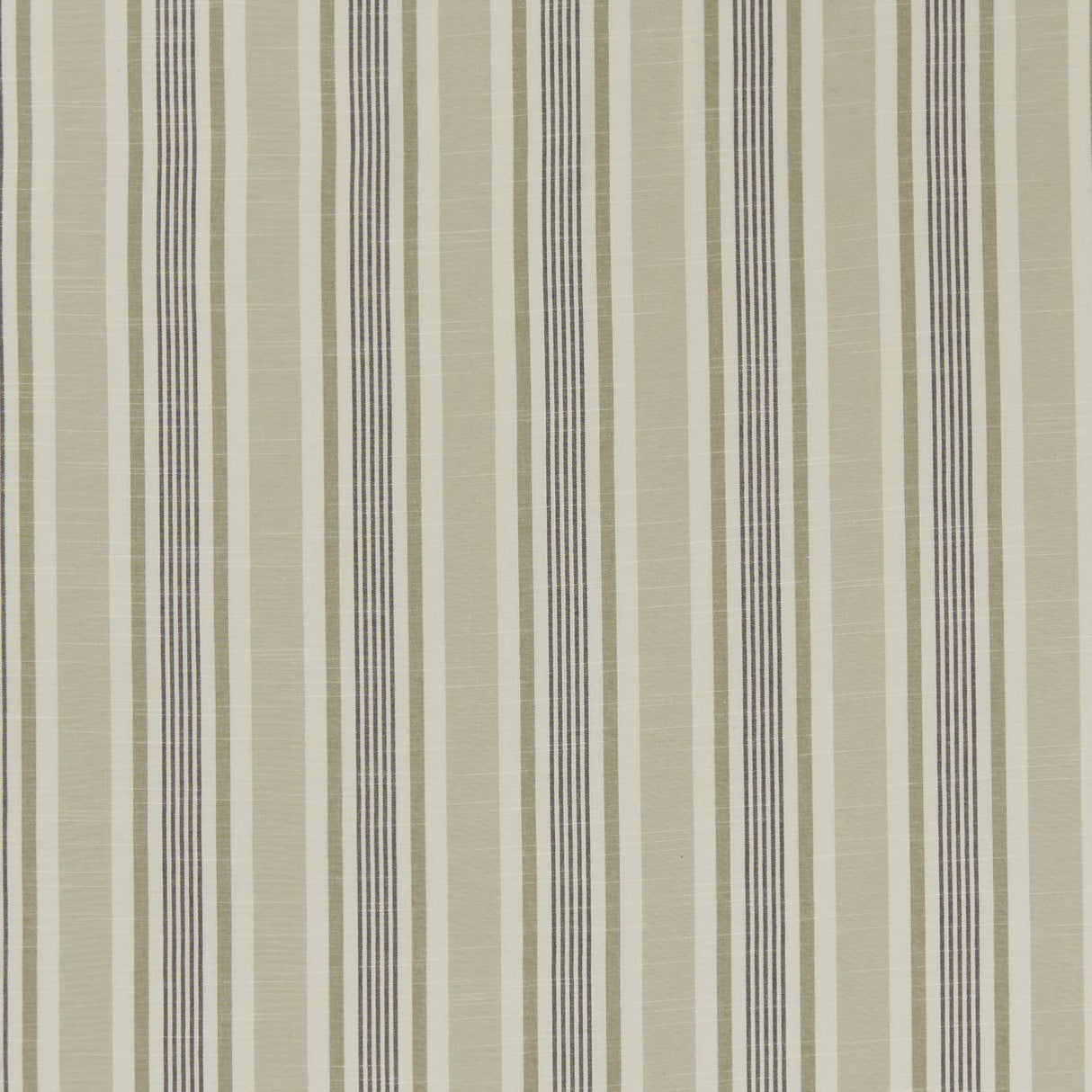 Clarke & Clarke MAPPLETON CHARCOAL Fabric