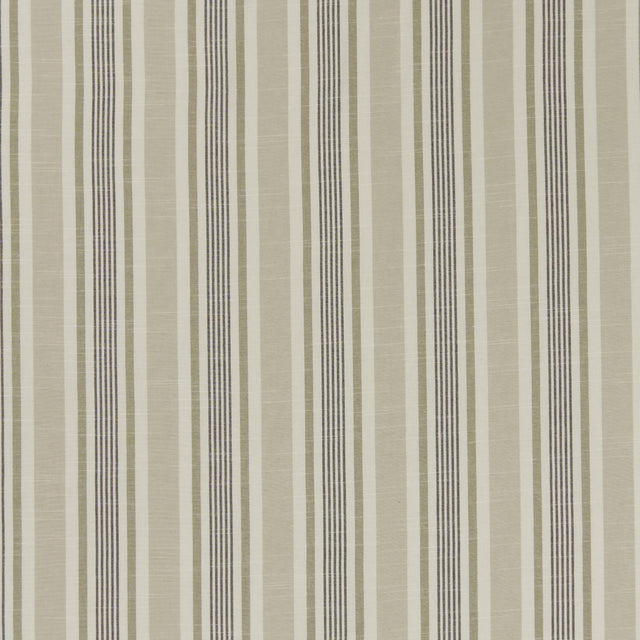 Clarke & Clarke MAPPLETON CHARCOAL Fabric
