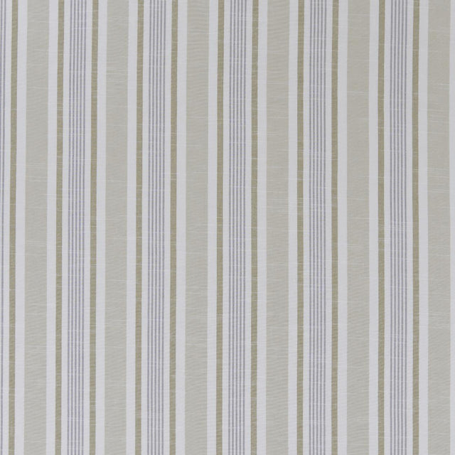 Clarke & Clarke MAPPLETON MINERAL Fabric