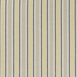 Clarke & Clarke MAPPLETON OCHRE Fabric