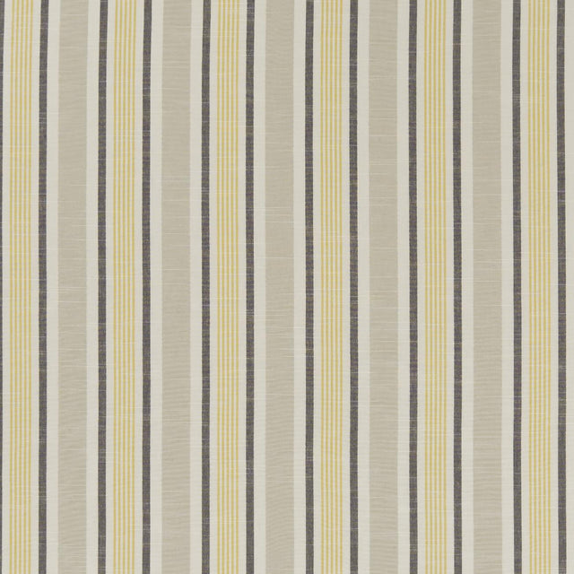 Clarke & Clarke MAPPLETON OCHRE Fabric