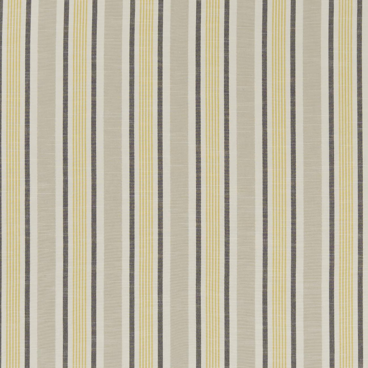 Clarke & Clarke MAPPLETON OCHRE Fabric