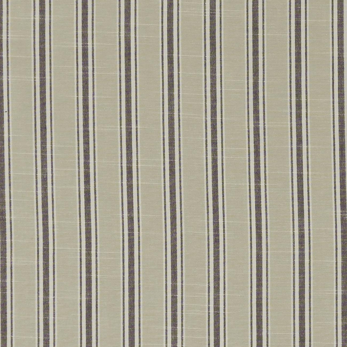 Clarke & Clarke THORNWICK CHARCOAL Fabric