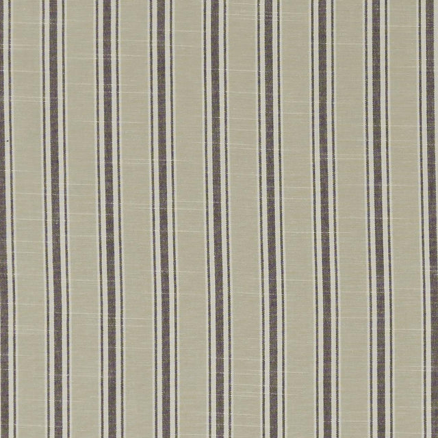 Clarke & Clarke THORNWICK CHARCOAL Fabric