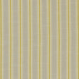 Clarke & Clarke THORNWICK CITRUS Fabric